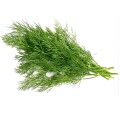 Dill