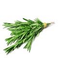 Rosemary