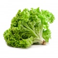 Lettuce