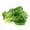 Spinach