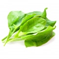 Sorrel