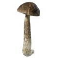 Rough boletus