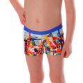 Swimming Trunks