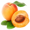 Apricot