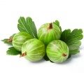 Gooseberry