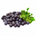 Bilberry