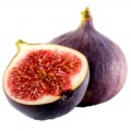 Fig