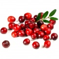 Cranberry