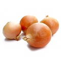 Onion