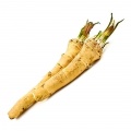 Horseradish