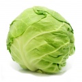 Cabbage