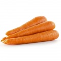 Carrot