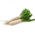 Radish