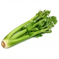 Celery