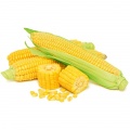 Corn