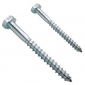 Bolt screw