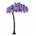Wistaria