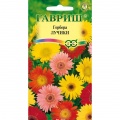 Семена герберы 