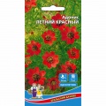 Семена адониса 
