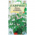 Семена мимозы 