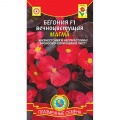 Семена бегонии