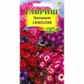 Семена цинерарии