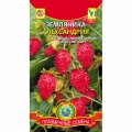 Семена земляники 