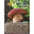 Мицелий грибов