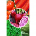 Seeds of vegetables, fruits and nuts
