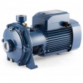 Pumps for watering