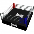 Boxing rings