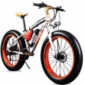 Electric bicycles