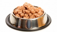 Canned food for dogs