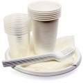 Disposable tableware