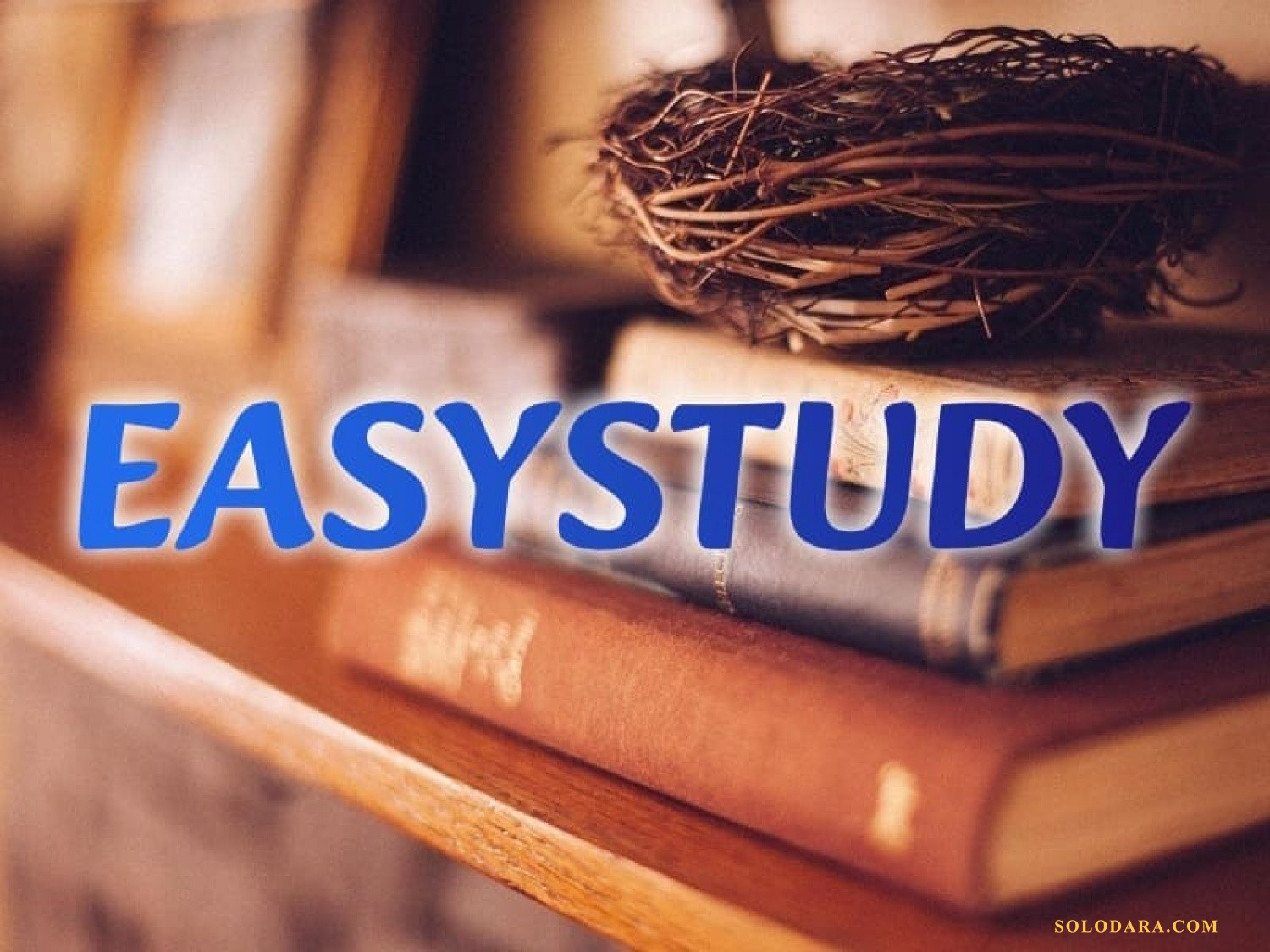 Замовити дипломну роботу в Україні