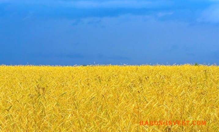 Потребую вашої допомоги 